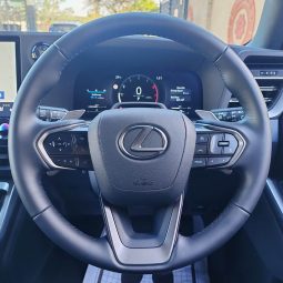 
										Lexus GX550 full									